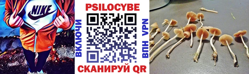 Псилоцибиновые грибы Magic Shrooms  Суджа 
